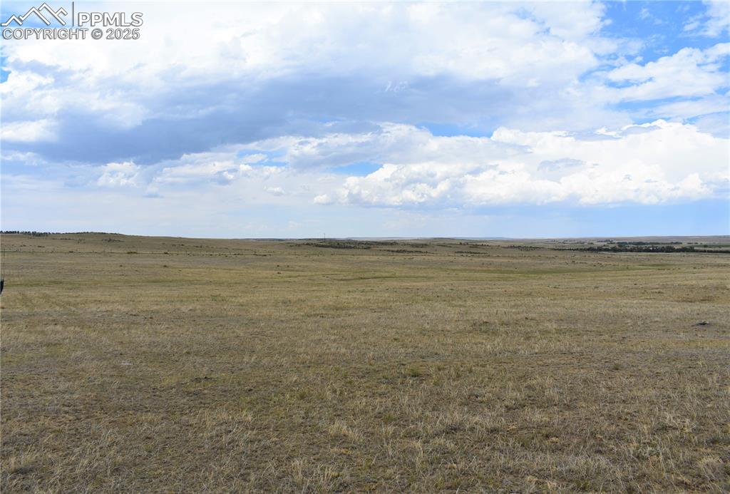 Image 9 of 17: Other