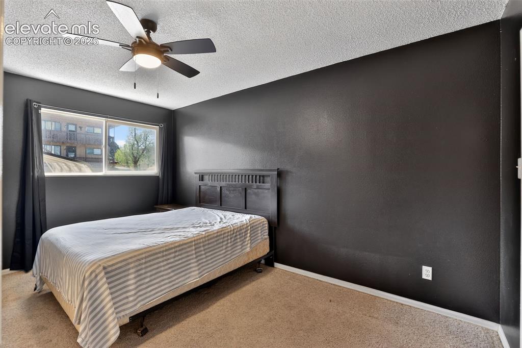 Image 12 of 28: Bedroom featuring neutral-toned carpeting, dark accent walls, a window with