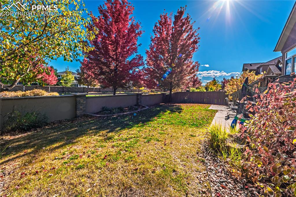 Image 46 of 47: Yard