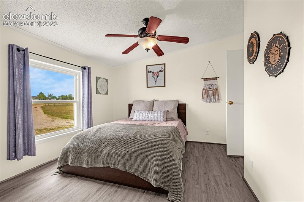 Image 11 of 23: Master Bedroom