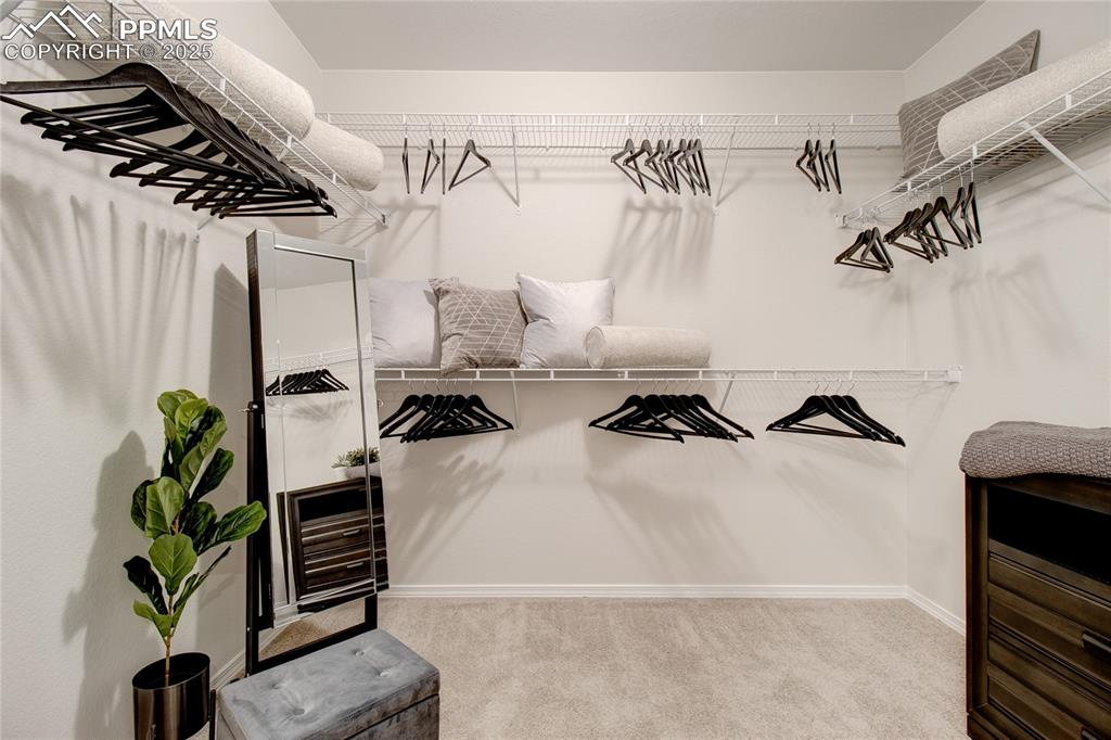 Image 22 of 28: Spacious closet featuring light colored carpet