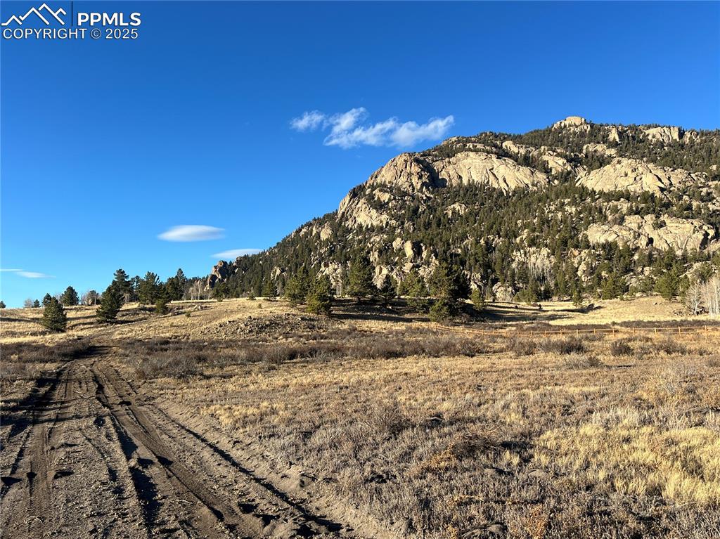 Image 10 of 15: driveway on lot