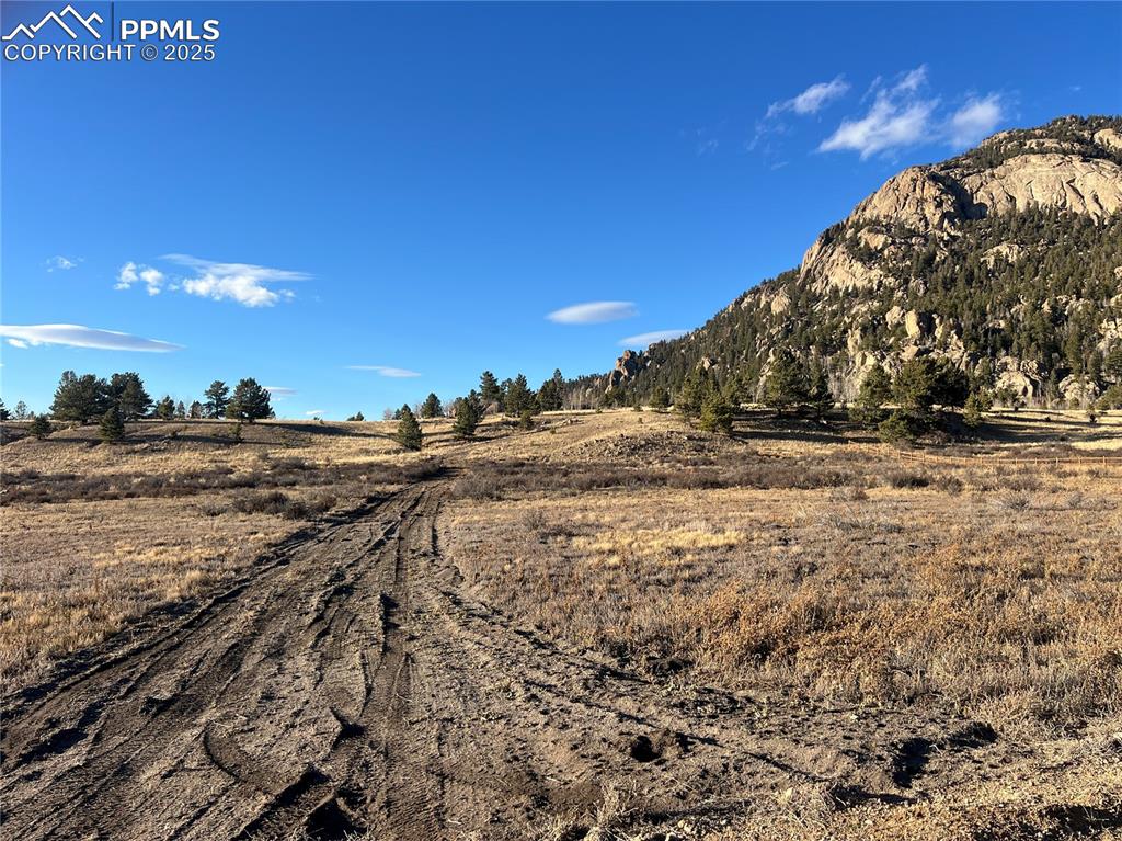 Image 11 of 15: Drive way