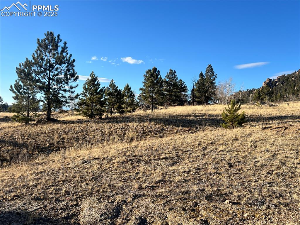 Image 4 of 15: Other