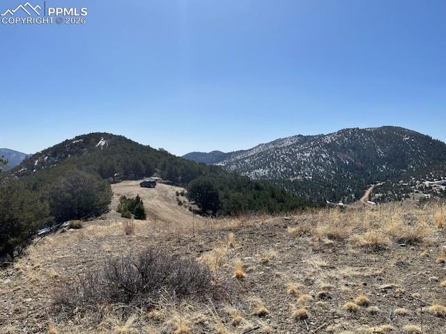 Image 4 of 10: View