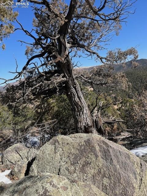 Image 6 of 10: Other