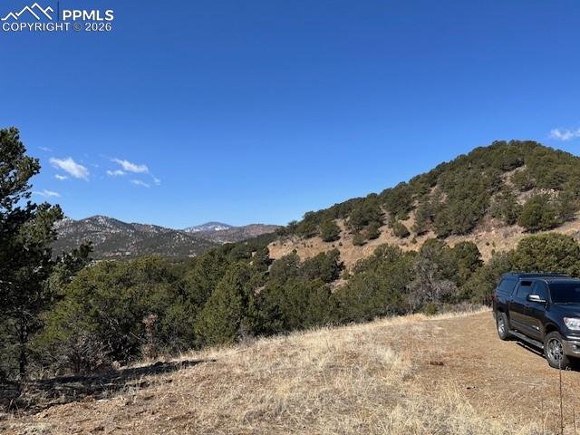 Image 8 of 10: View