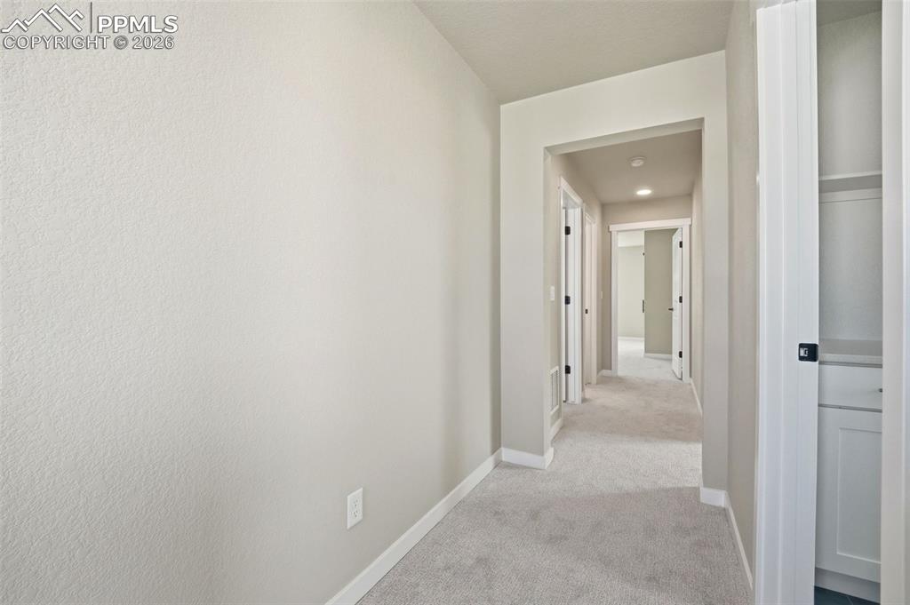 Image 20 of 39: No Description Available