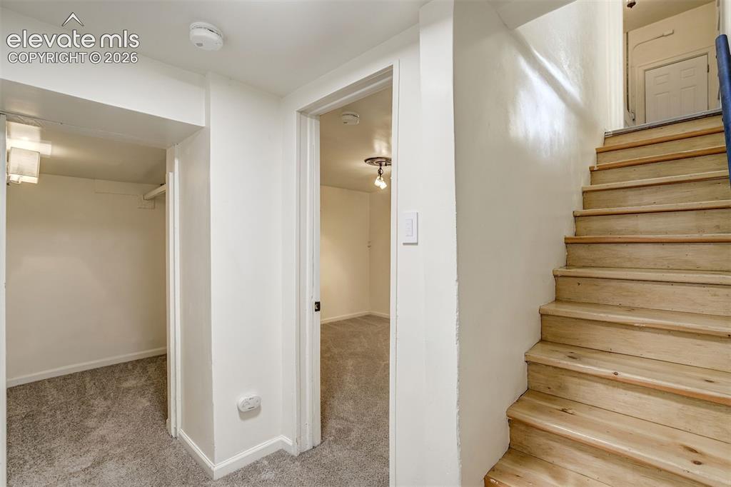 Image 41 of 50: Natural wood staircase with flush-mount lighting, carpeted flooring, and bu