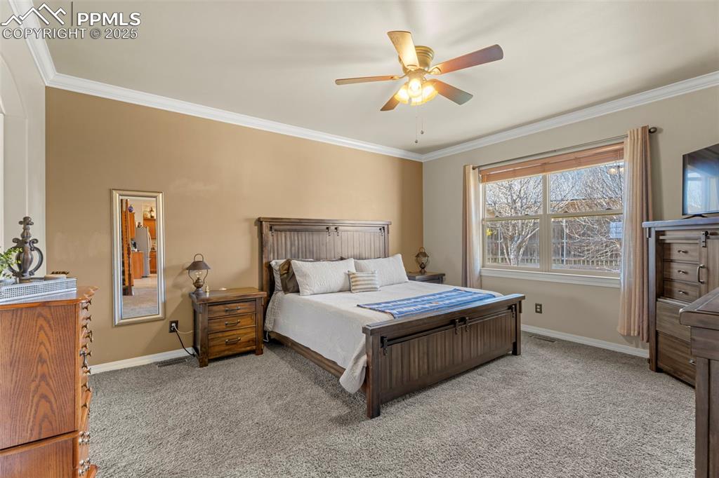 Image 16 of 41: Bedroom featuring crown molding, carpet floors, and a ceiling fan