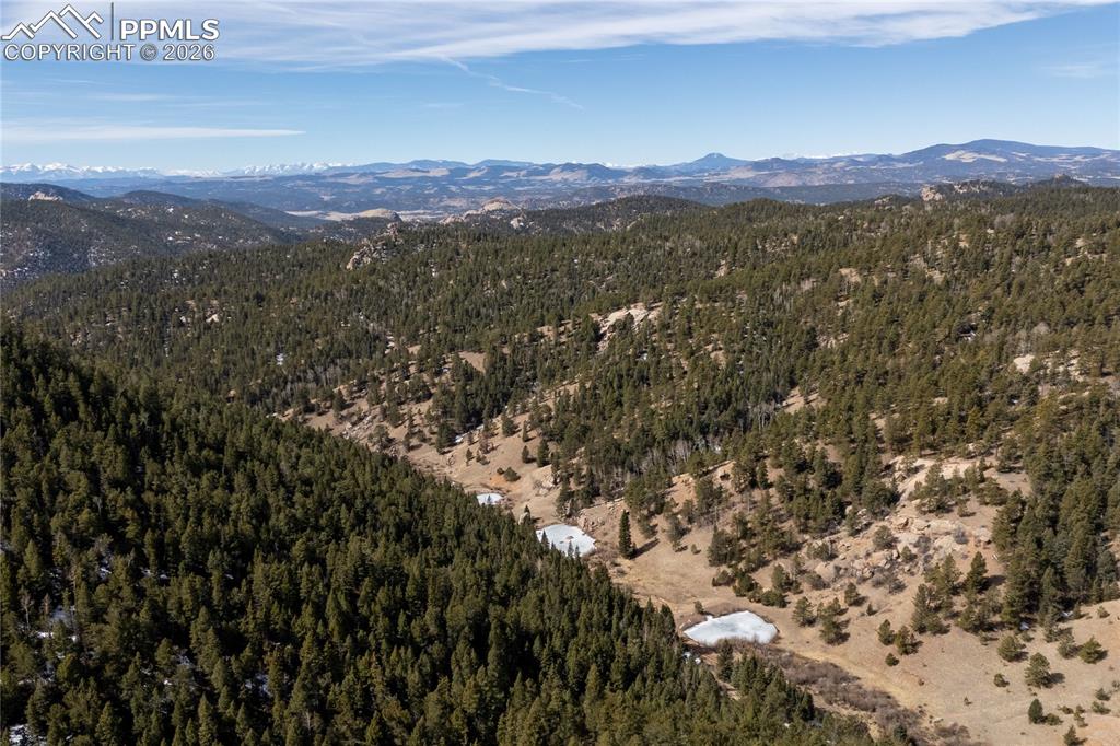 Image 18 of 24: View of mountain backdrop featuring a forest