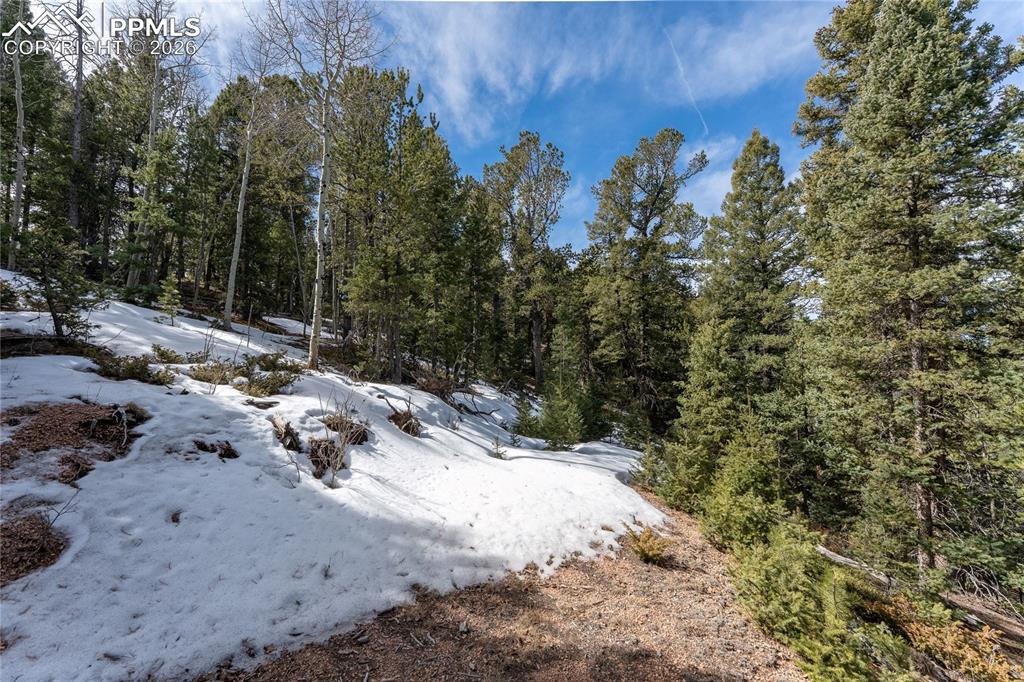Image 24 of 24: View of snow covered land