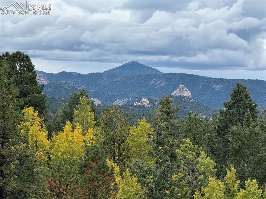 Image 44 of 46: View