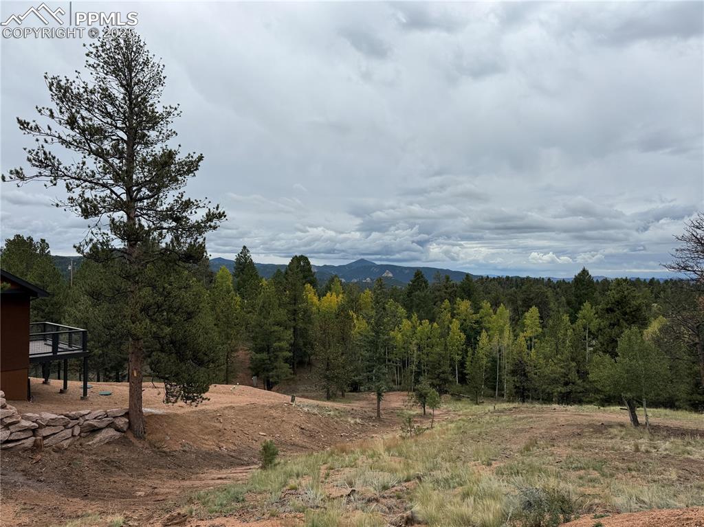 Image 45 of 46: View