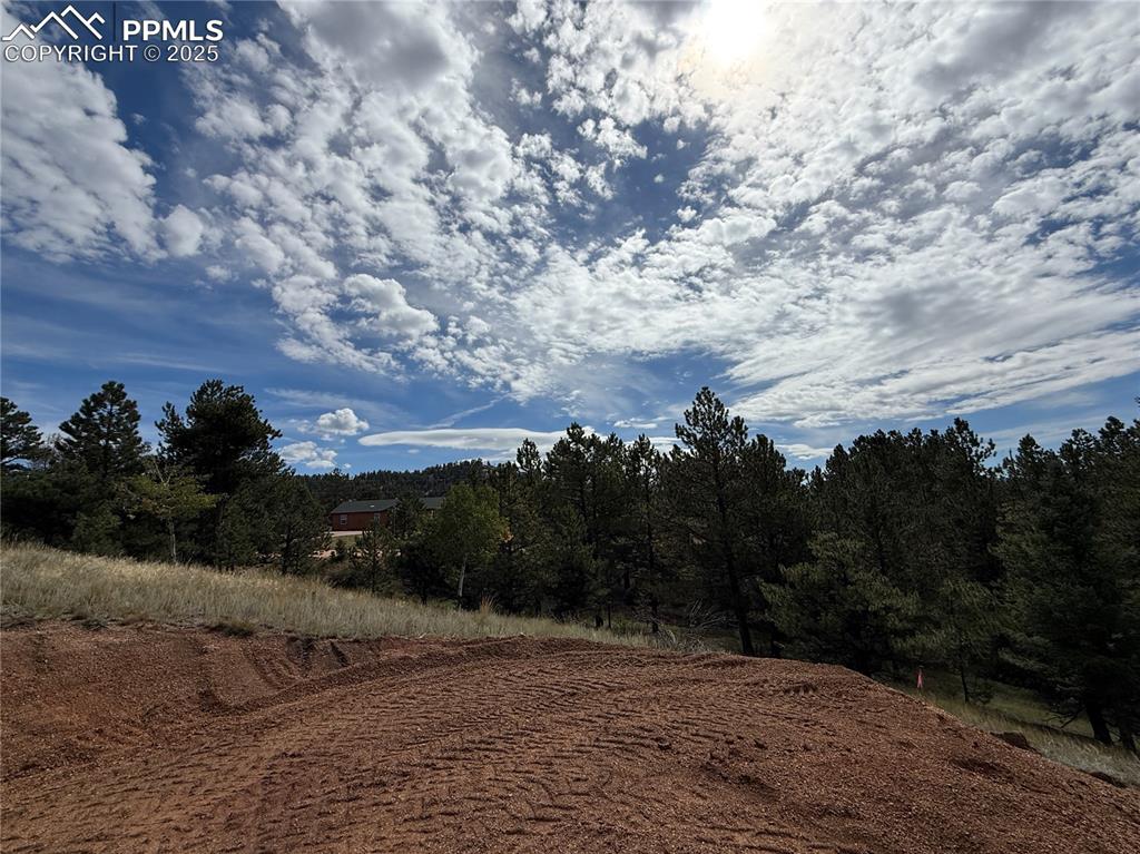 Image 46 of 46: Other