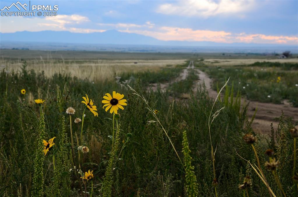 Image 10 of 15: Other