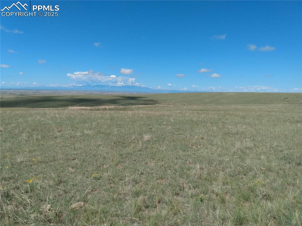 Image 12 of 15: View