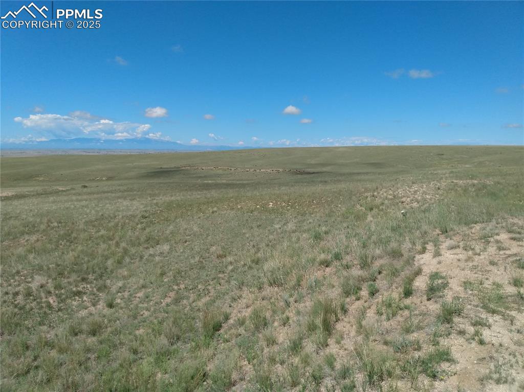 Image 13 of 15: Other