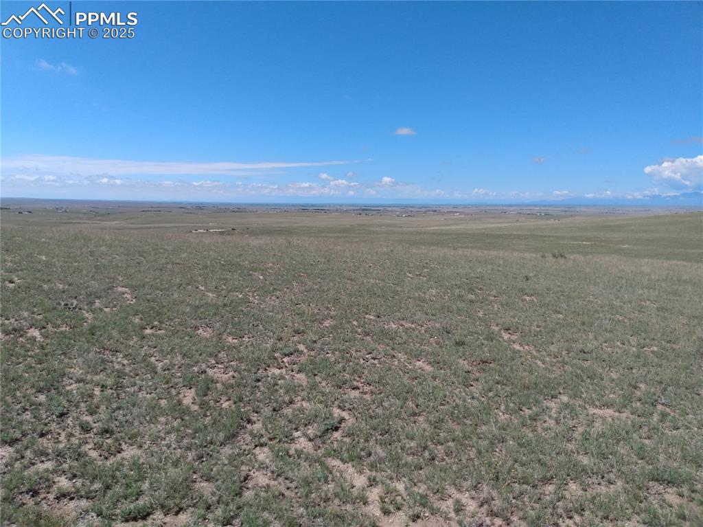 Image 7 of 15: Other