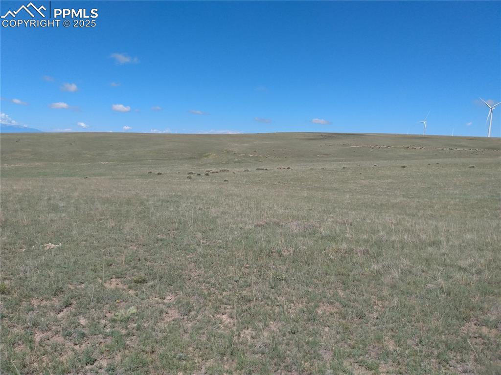 Image 8 of 15: Other