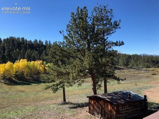 Image 38 of 50: Expansive acreage featuring mature pine trees, deciduous foliage, and a rus
