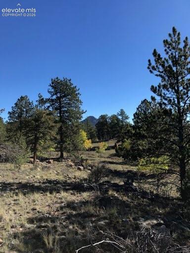 Image 39 of 50: Natural landscape featuring native grasses, scattered rock formations, matu