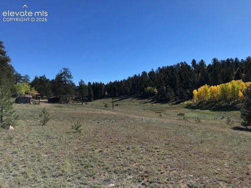 Image 40 of 50: Expansive natural landscape featuring rolling terrain, clusters of mature e