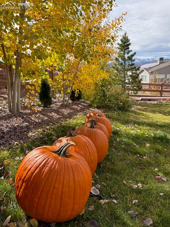 Image 45 of 50: Other