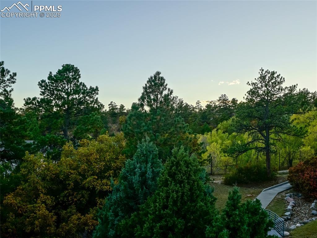 Image 28 of 37: View of wooded area