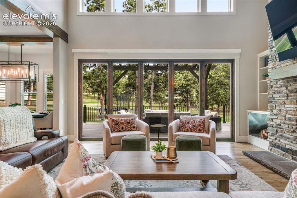 Image 9 of 50: Pivot Door