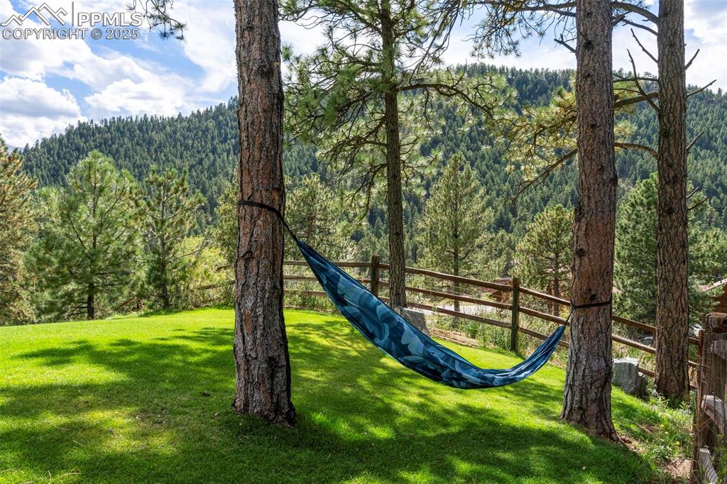 Image 36 of 46: Other