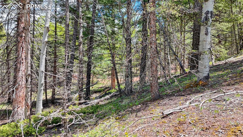 Image 11 of 28: Other