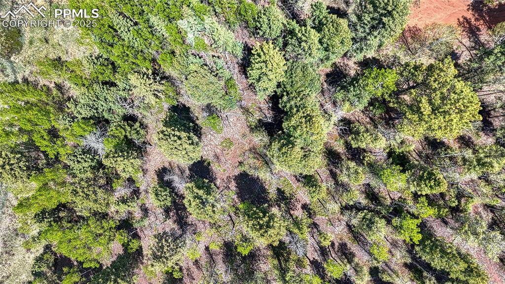 Image 21 of 28: Aerial View
