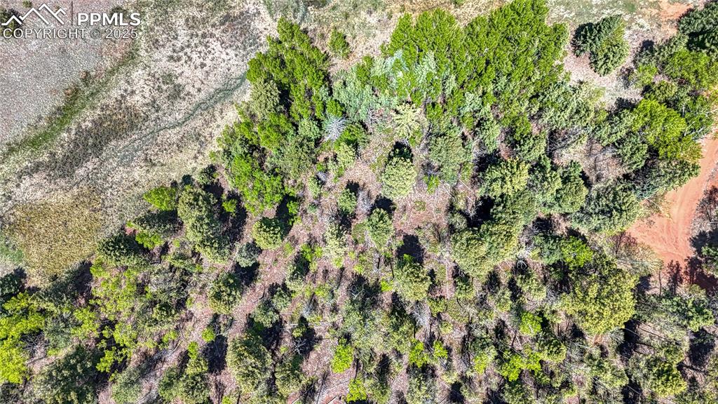 Image 6 of 28: Aerial View