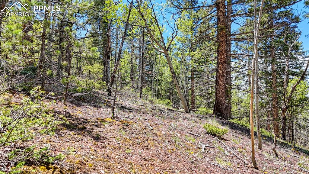 Image 8 of 28: Other