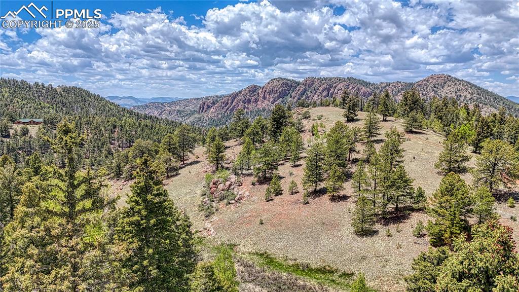 Image 9 of 28: View
