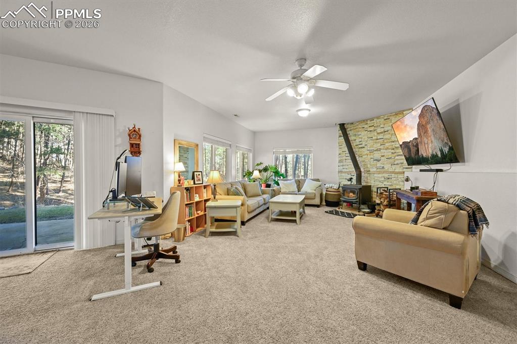 Image 28 of 47: Basement Rec room