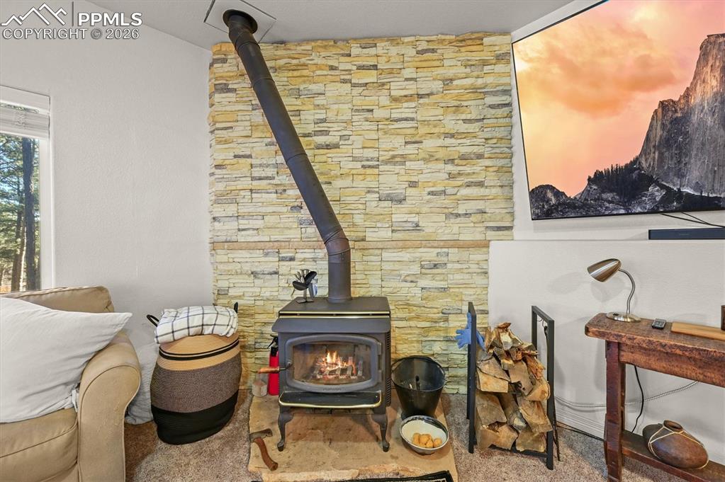 Image 29 of 47: Basement Rec room