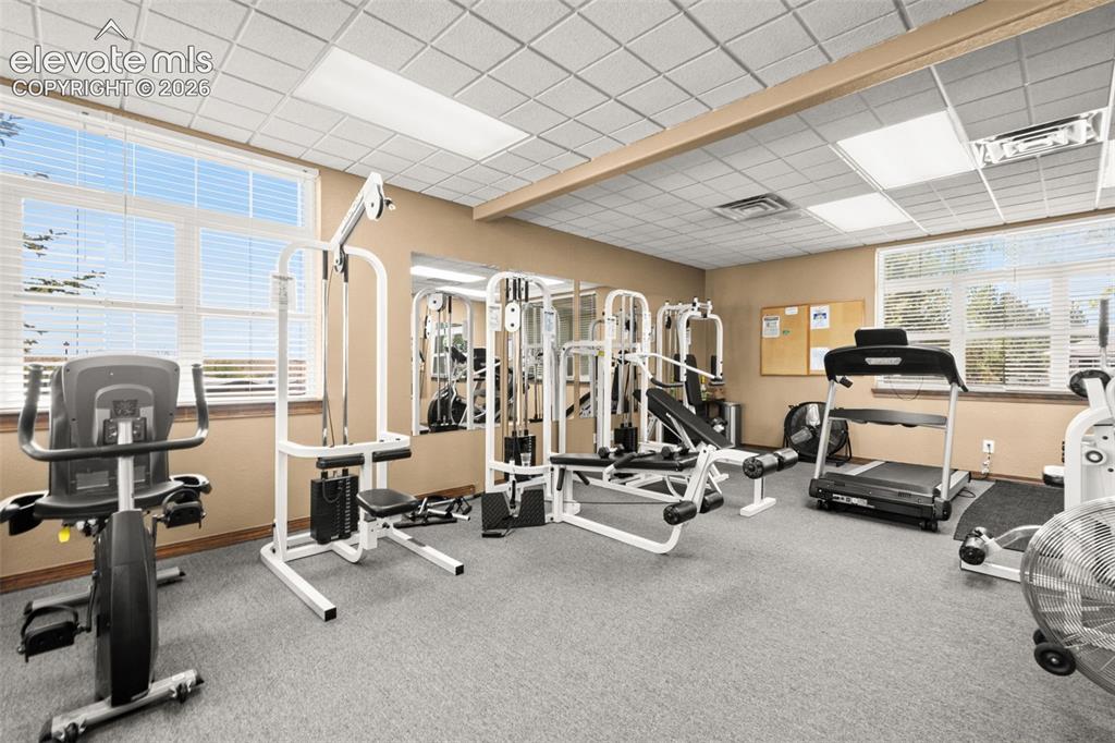 Image 33 of 36: Gym
