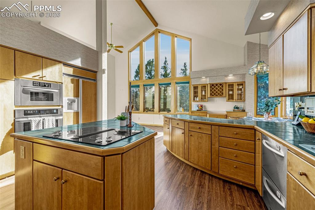 Image 17 of 47: Kitchen with dark wood-style flooring, stainless steel appliances, wood fin