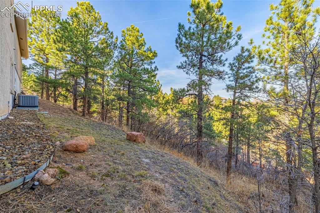 Image 44 of 47: View of yard