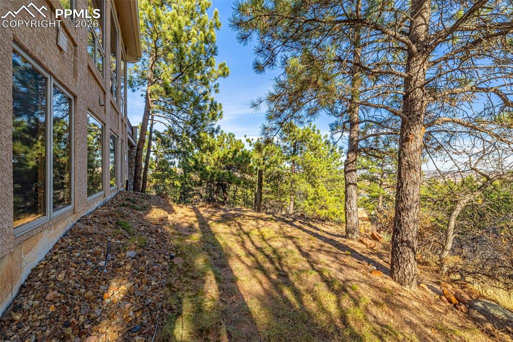 Image 45 of 47: View of yard