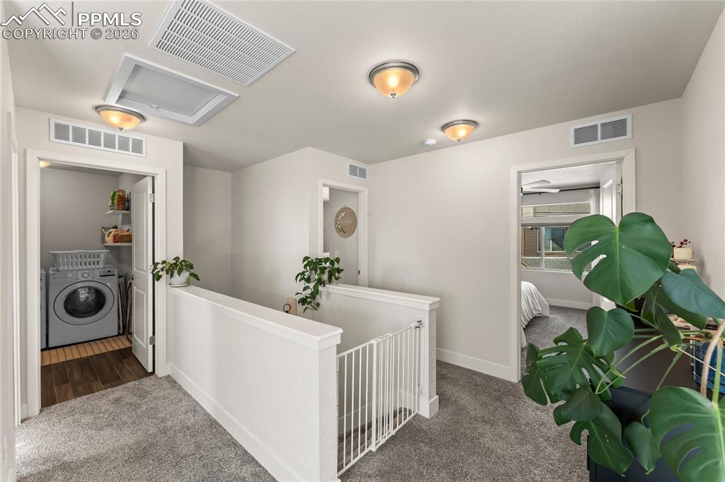 Image 16 of 35: Other