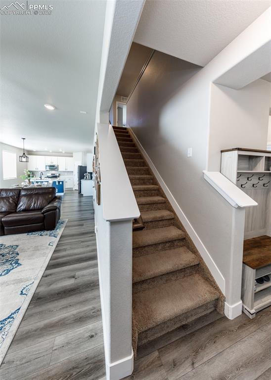 Image 30 of 50: Other