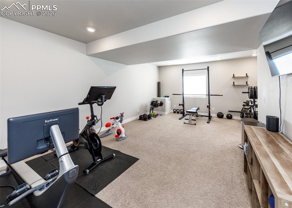 Image 43 of 50: large walk out basement for home gym or family room
