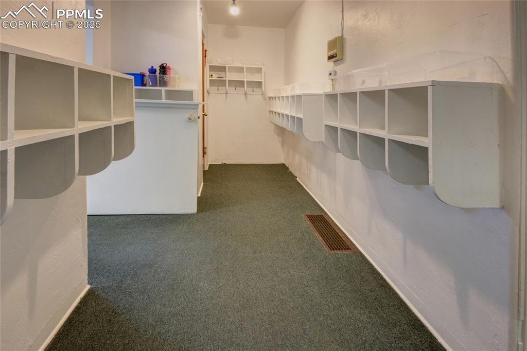 Image 2 of 34: Walk in closet with dark carpet