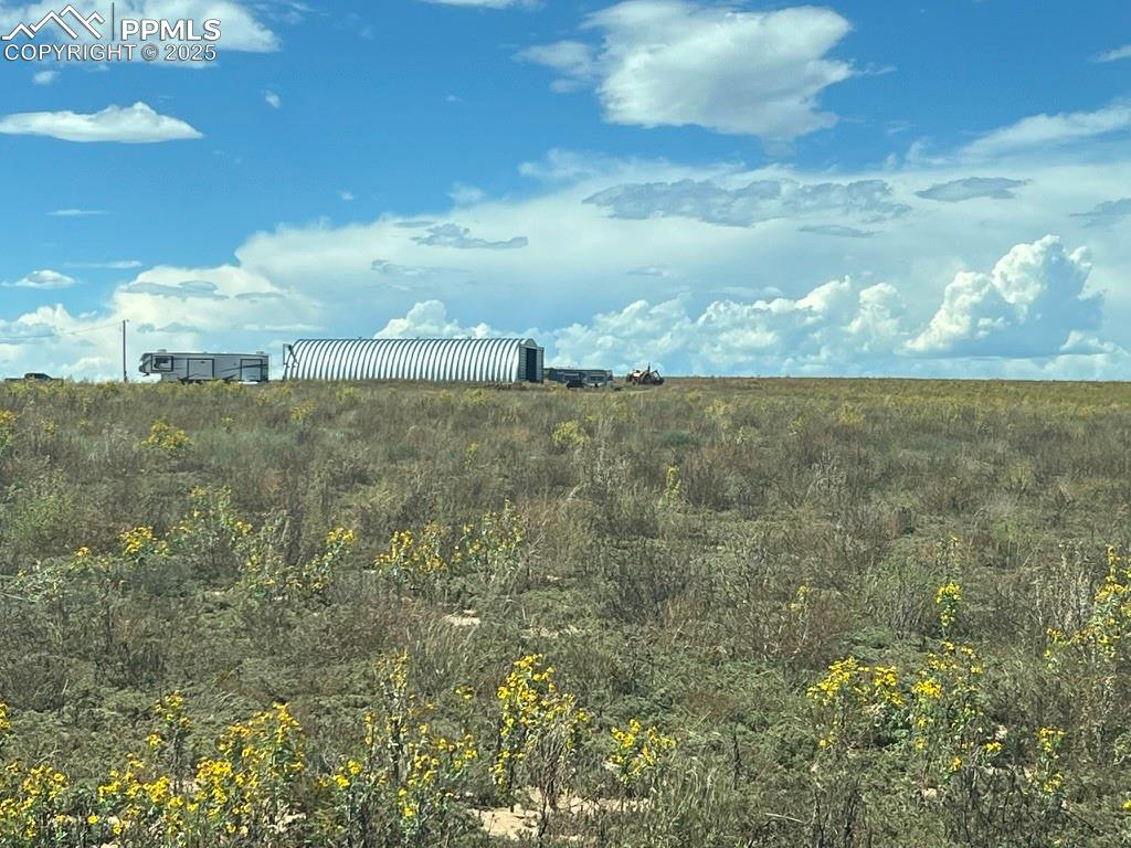 Image 25 of 31: View of undeveloped land