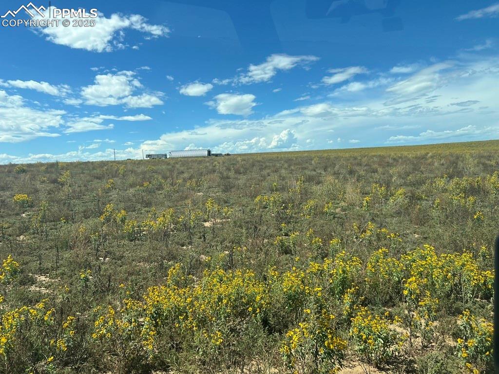 Image 26 of 31: View of nature