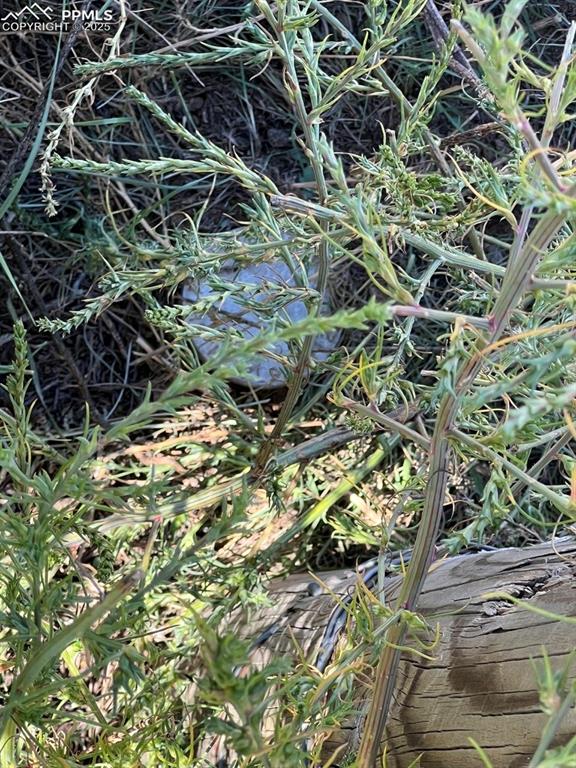 Image 30 of 31: Survey Pin