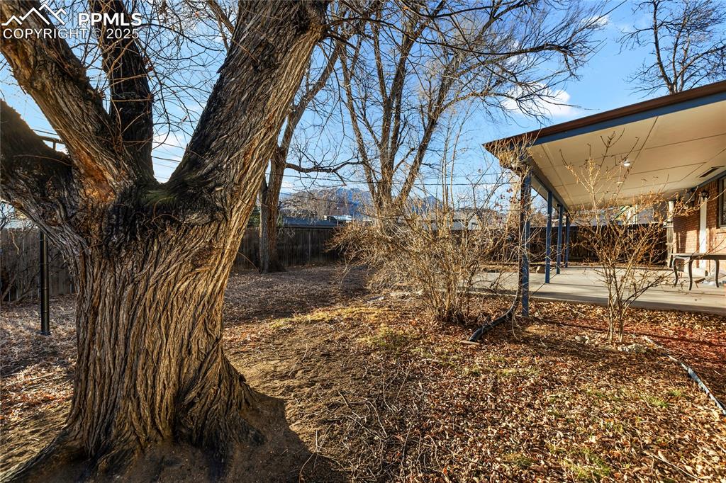 Image 8 of 38: Mature trees, level yard and views of the mountains from the back yard.
